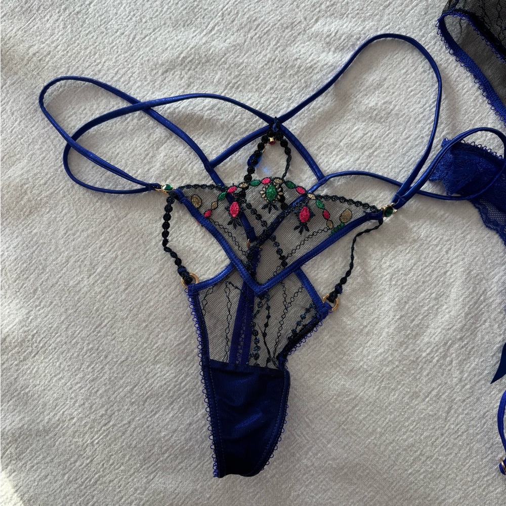 Honey Birdette Leah ! 34B , M, S, Black and Blue Embroidered Bra Set Christmas! - Picture 12 of 15
